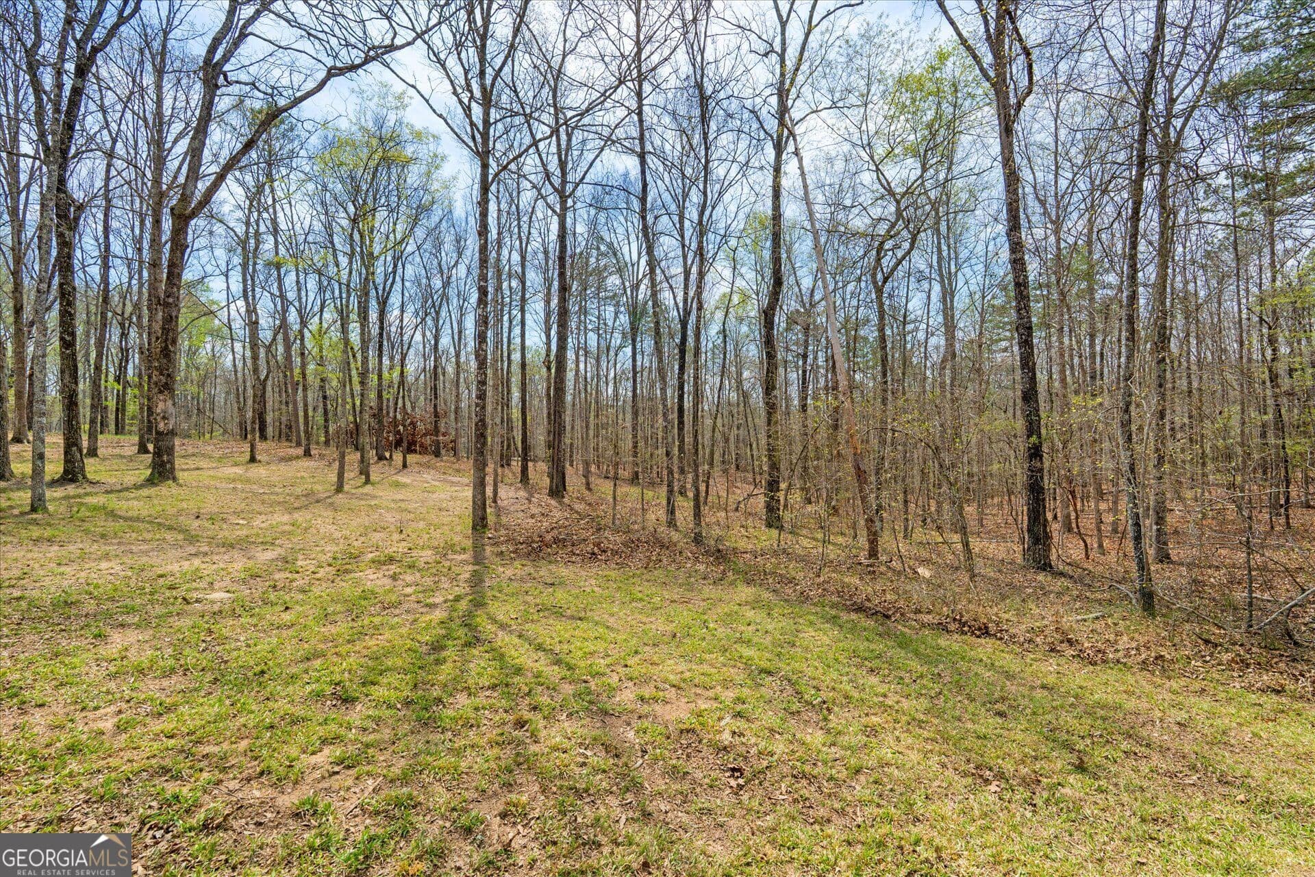 7 bedroom, 5 bathroom, 6,067 sq ft single family residence for sale at 733 Cherry Road, Franklin, GA 30217 — photo 6