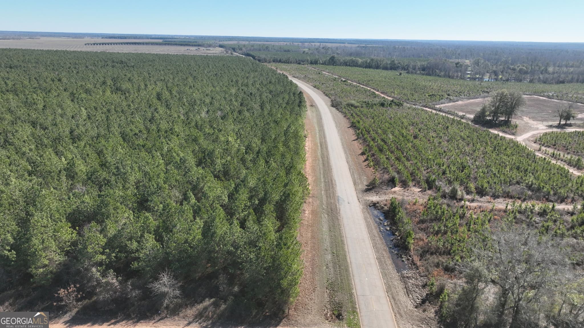 agriculture for sale at 0 Belmont Road, Louisville, GA 30434 — photo 2