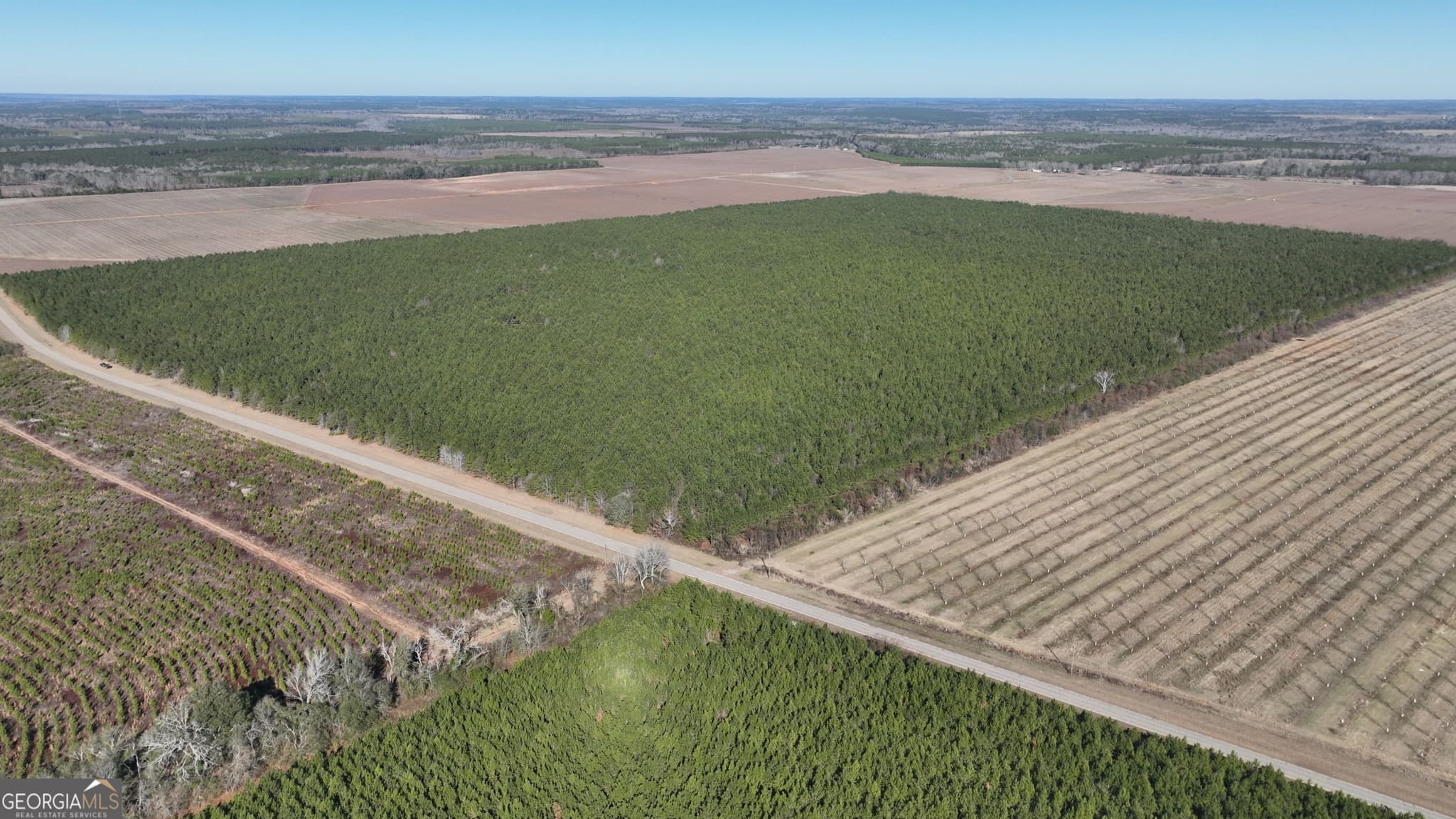 agriculture for sale at 0 Belmont Road, Louisville, GA 30434 — photo 3