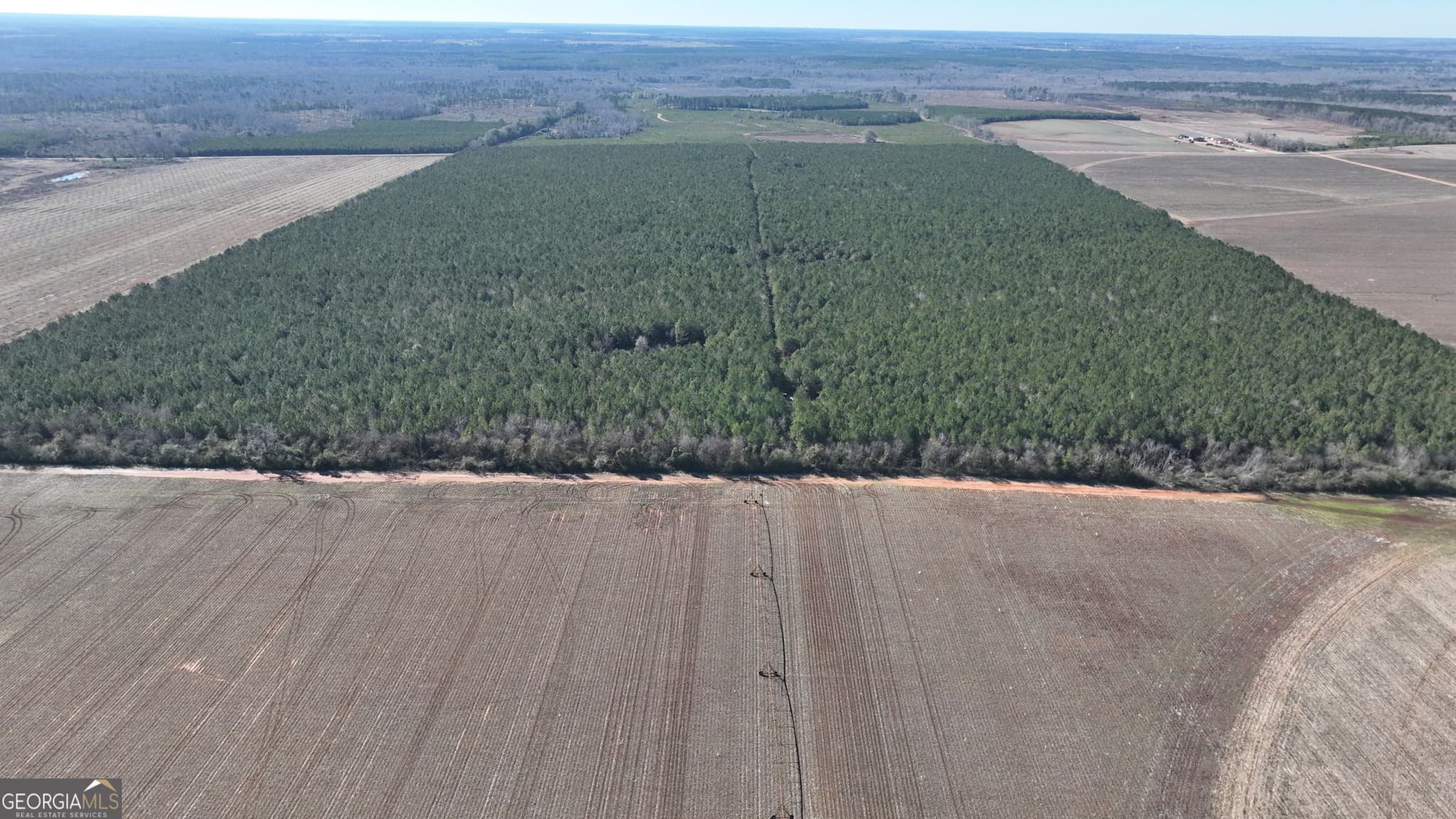 agriculture for sale at 0 Belmont Road, Louisville, GA 30434 — photo 5