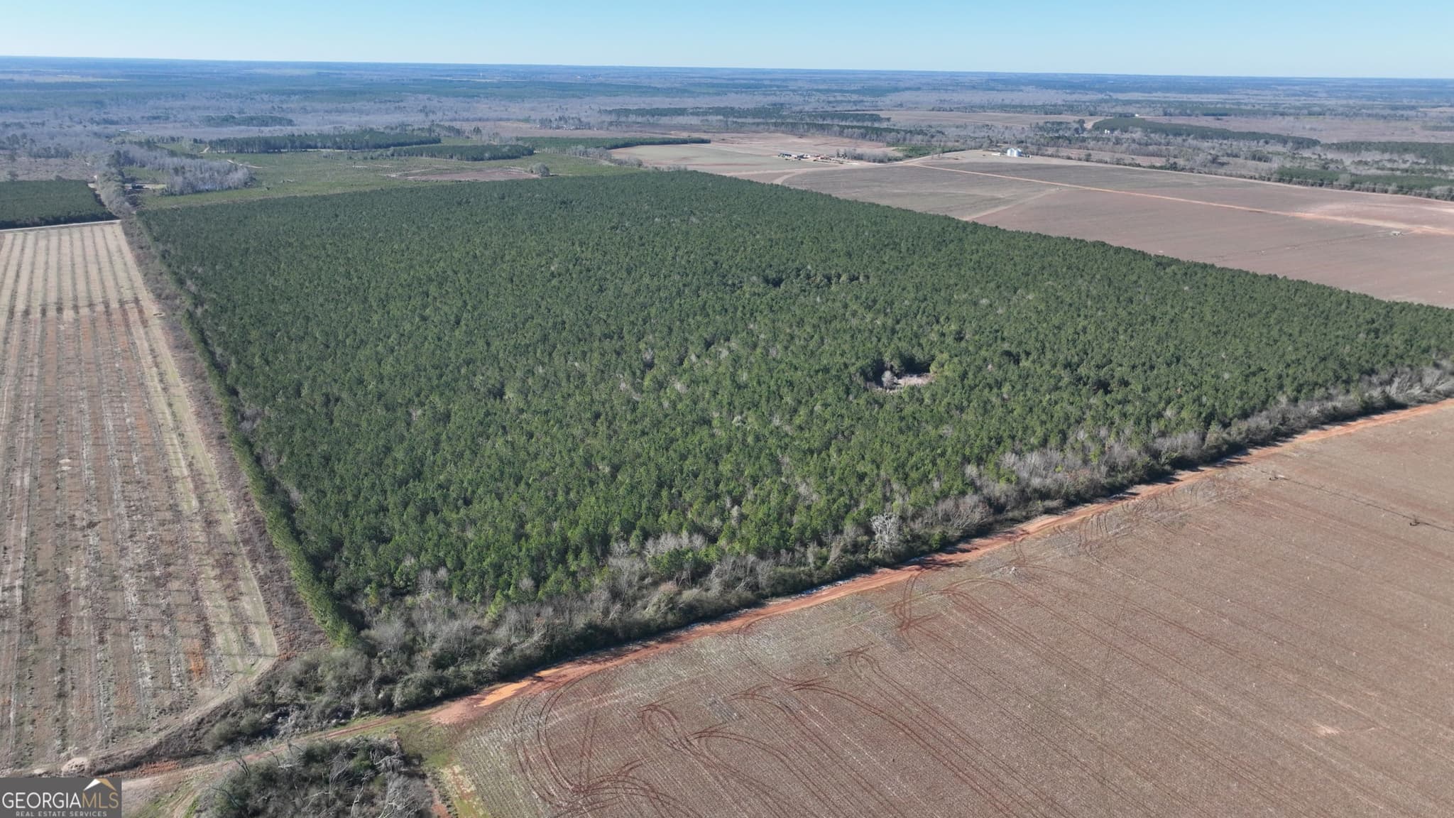 agriculture for sale at 0 Belmont Road, Louisville, GA 30434 — photo 4