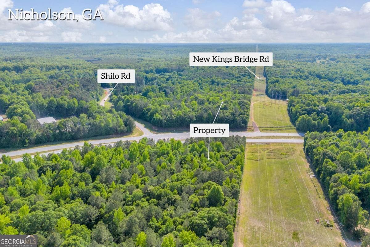 residential lot for sale at 0 US HWY 441, Nicholson, GA 30565 — photo 3