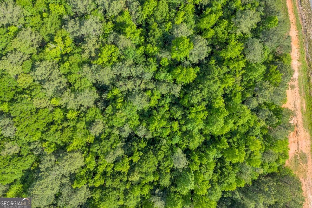residential lot for sale at 0 US HWY 441, Nicholson, GA 30565 — photo 9
