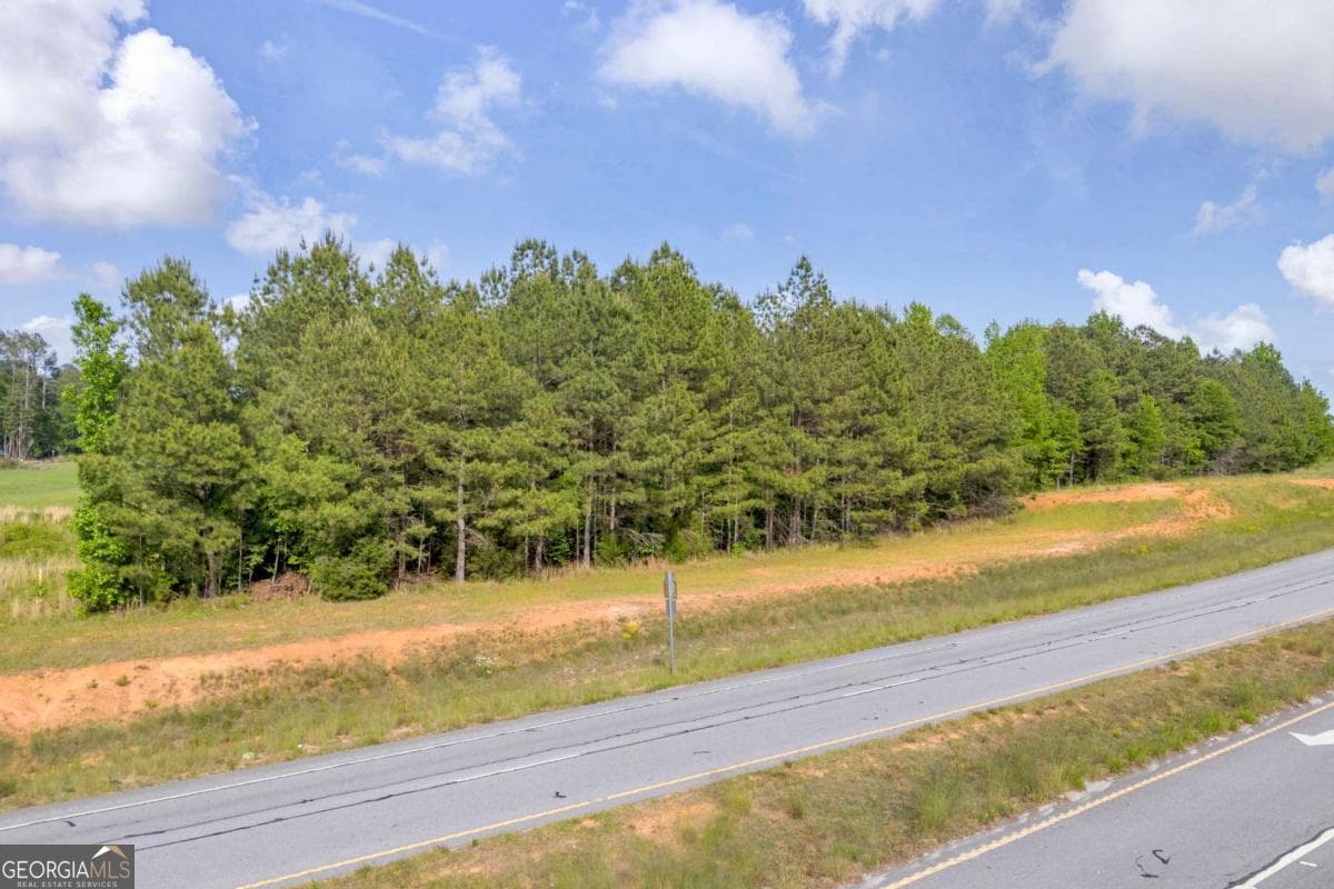 residential lot for sale at 0 US HWY 441, Nicholson, GA 30565 — photo 10