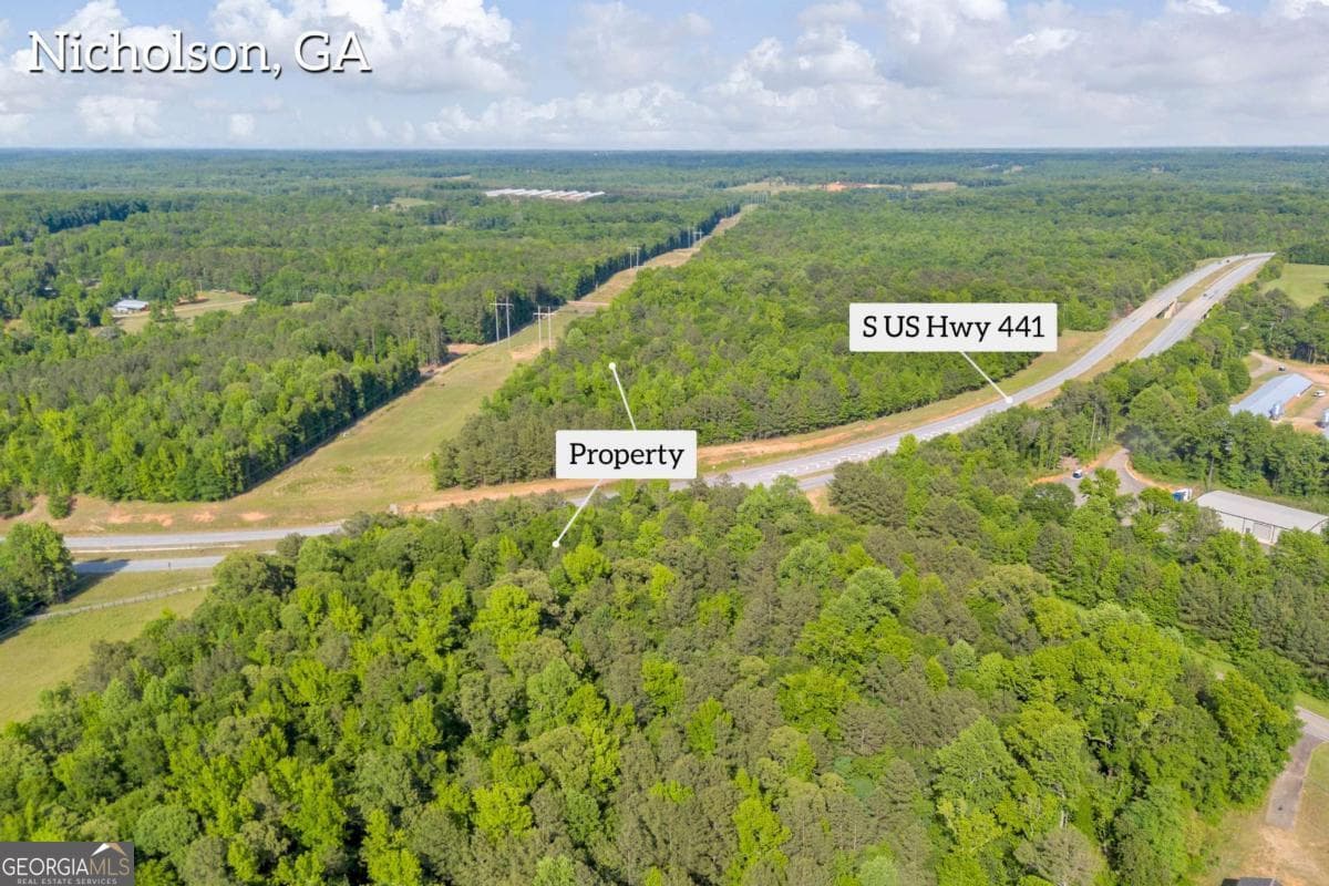 residential lot for sale at 0 US HWY 441, Nicholson, GA 30565 — photo 4
