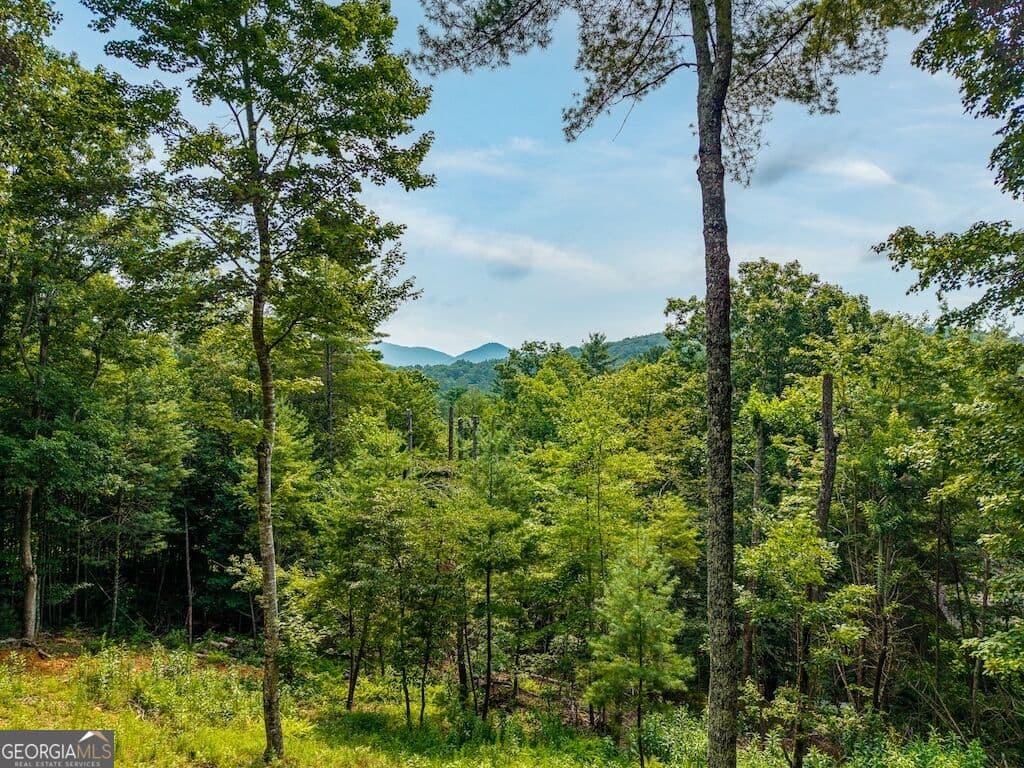 3 bedroom, 3 bathroom, 2,800 sq ft cabin,single family residence for sale at 120 Bell Camp Ridge Road, Blue Ridge, GA 30513 — photo 3