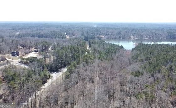 residential lot for sale at 12425 Panhandle Road, Hampton, GA 30228 — photo 2