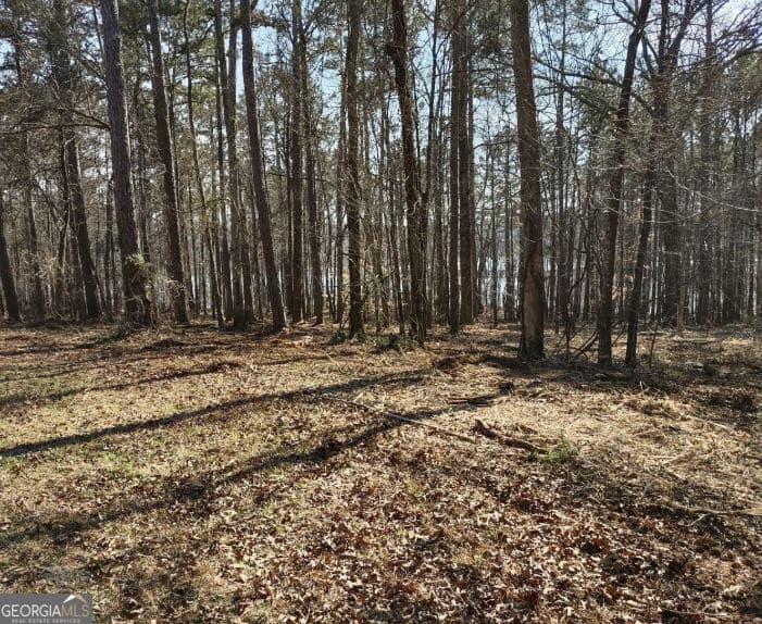 residential lot for sale at 12425 Panhandle Road, Hampton, GA 30228 — photo 6