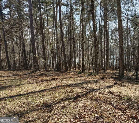 residential lot for sale at 12425 Panhandle Road, Hampton, GA 30228 — photo 7