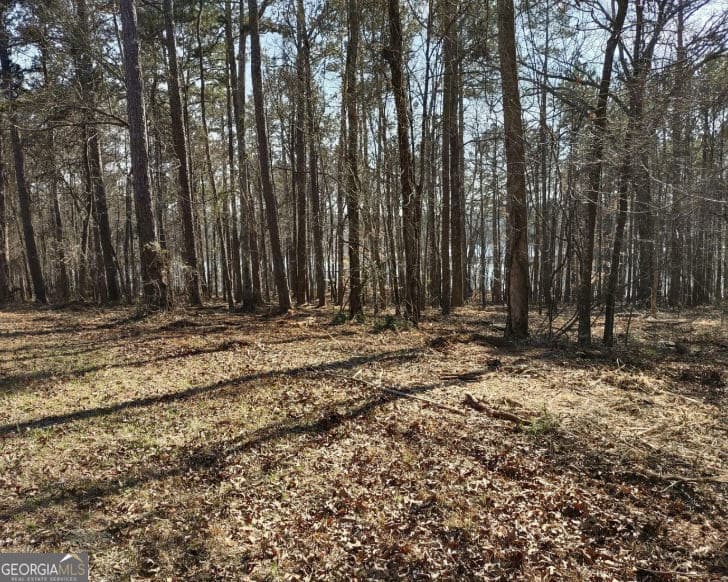 residential lot for sale at 12425 Panhandle Road, Hampton, GA 30228 — photo 3