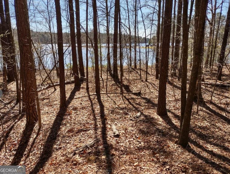 residential lot for sale at 12425 Panhandle Road, Hampton, GA 30228 — photo 5