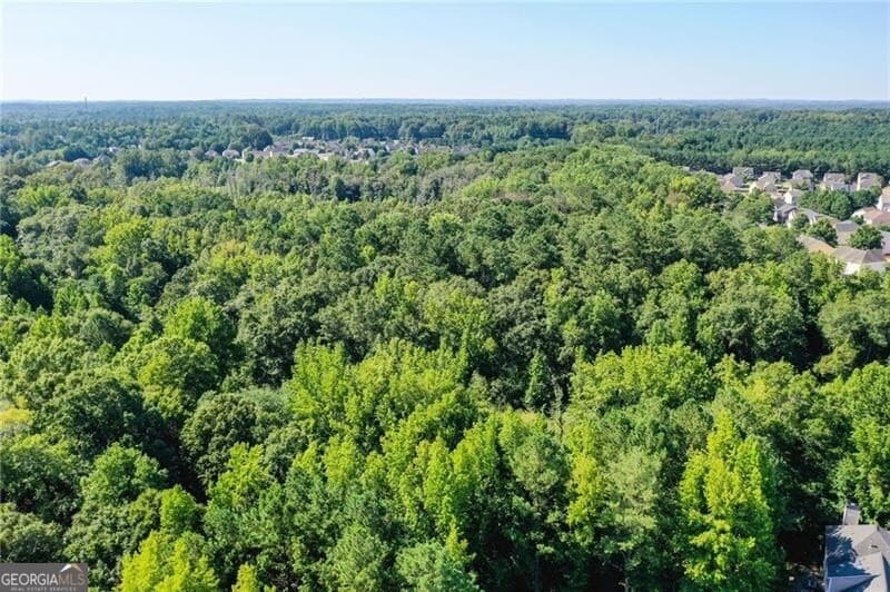 unimproved land for sale at 0 Moon Road, Powder Springs, GA 30127 — photo 6