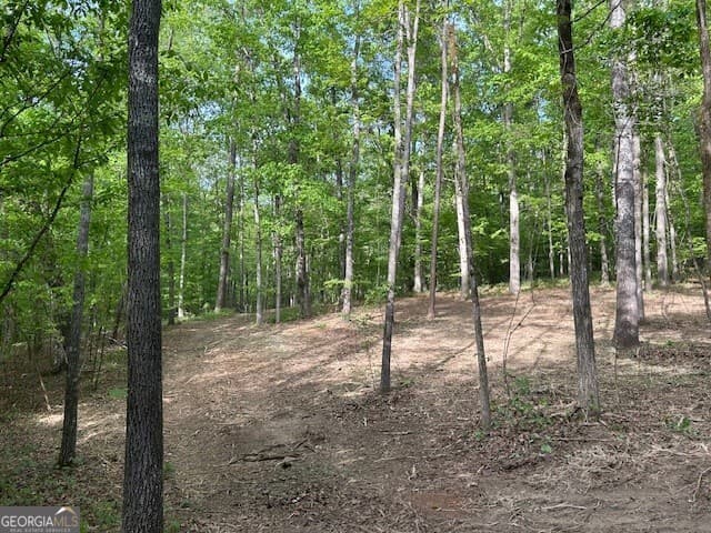 unimproved land for sale at 3640 Bullock Bridge Road, Monroe, GA 30656 — photo 6