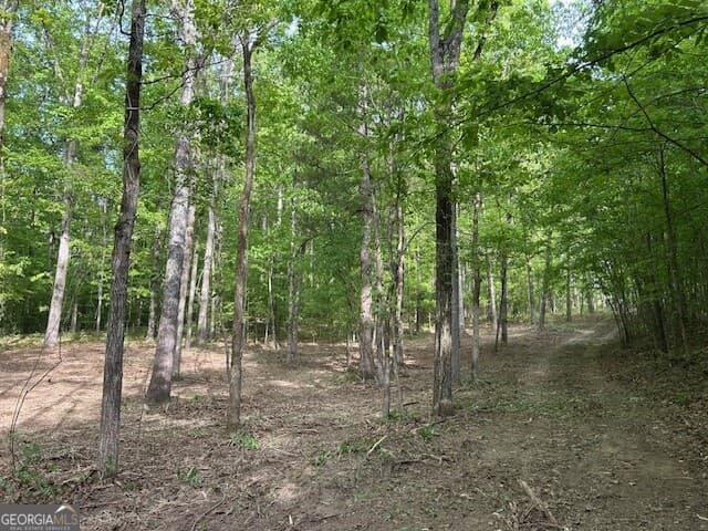 unimproved land for sale at 3640 Bullock Bridge Road, Monroe, GA 30656 — photo 7