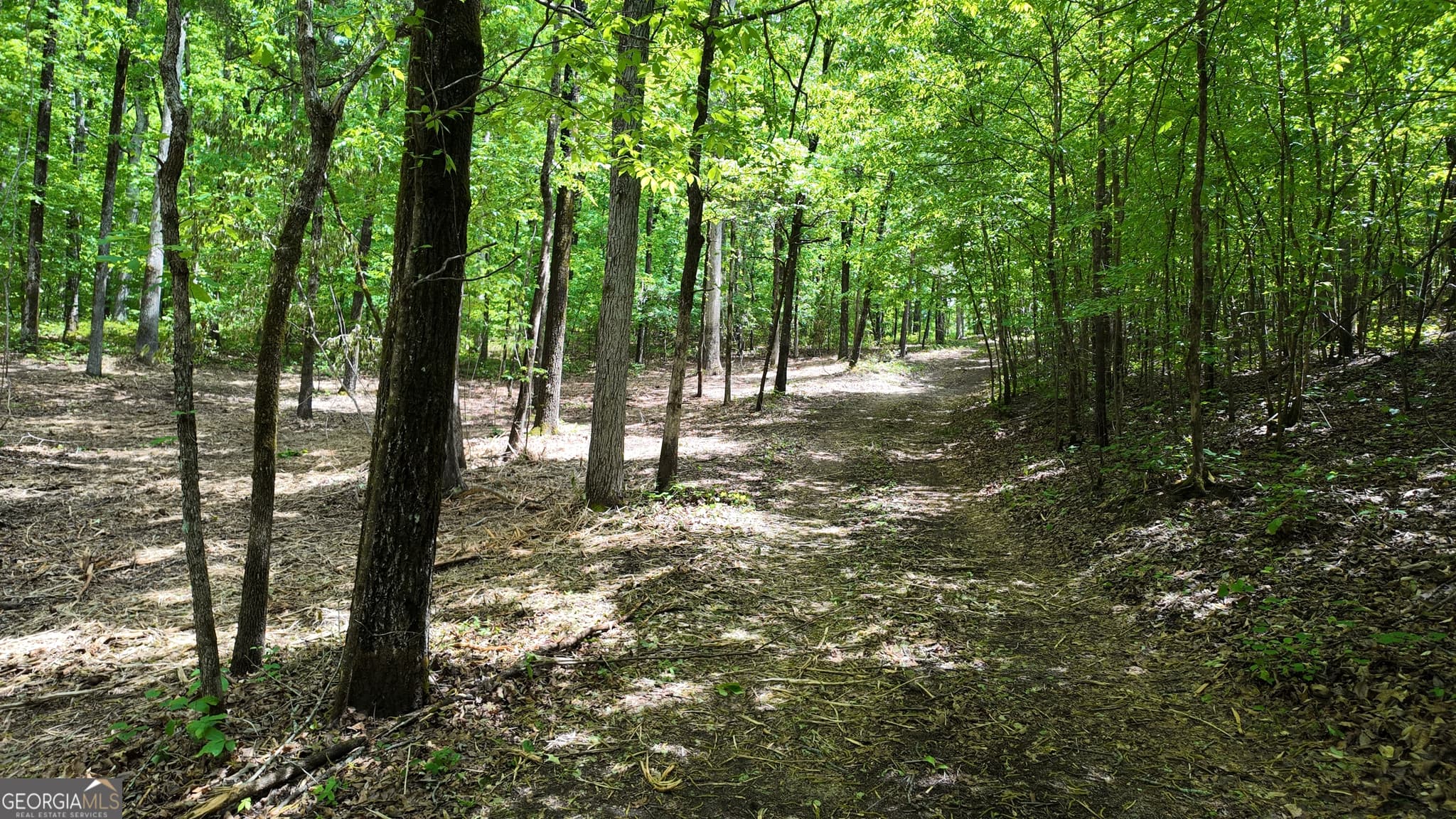 unimproved land for sale at 3640 Bullock Bridge Road, Monroe, GA 30656 — photo 3