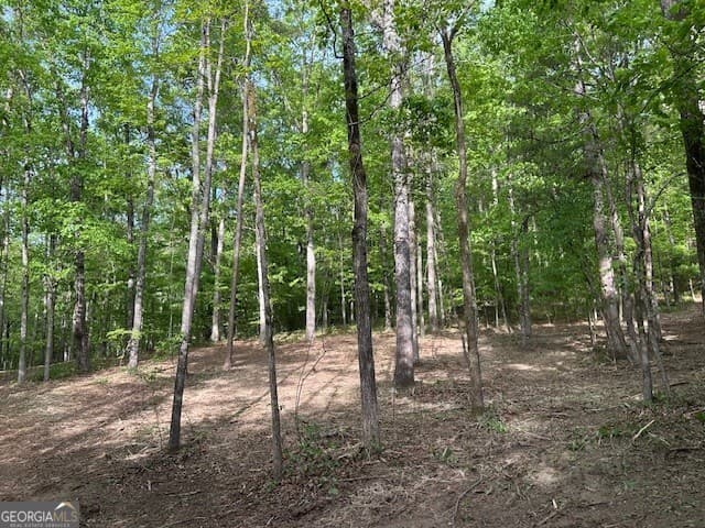unimproved land for sale at 3640 Bullock Bridge Road, Monroe, GA 30656 — photo 5