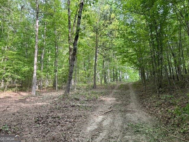 unimproved land for sale at 3640 Bullock Bridge Road, Monroe, GA 30656 — photo 9
