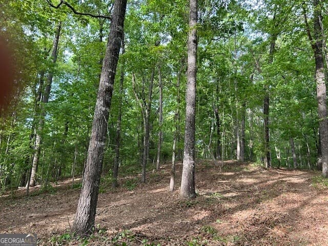unimproved land for sale at 3640 Bullock Bridge Road, Monroe, GA 30656 — photo 10