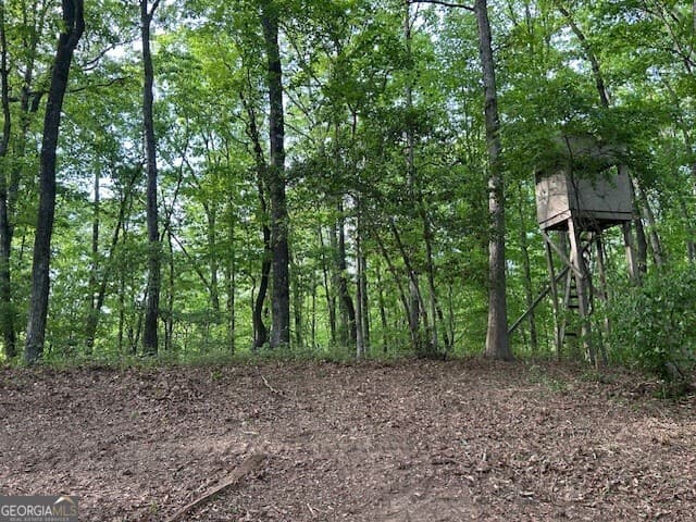 unimproved land for sale at 3640 Bullock Bridge Road, Monroe, GA 30656 — photo 4