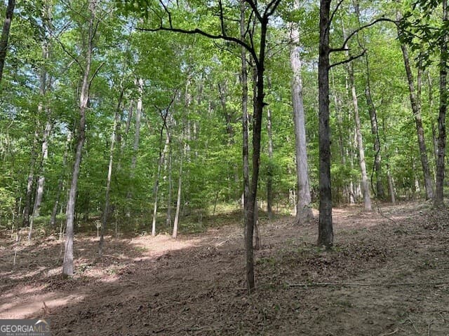 unimproved land for sale at 3640 Bullock Bridge Road, Monroe, GA 30656 — photo 8