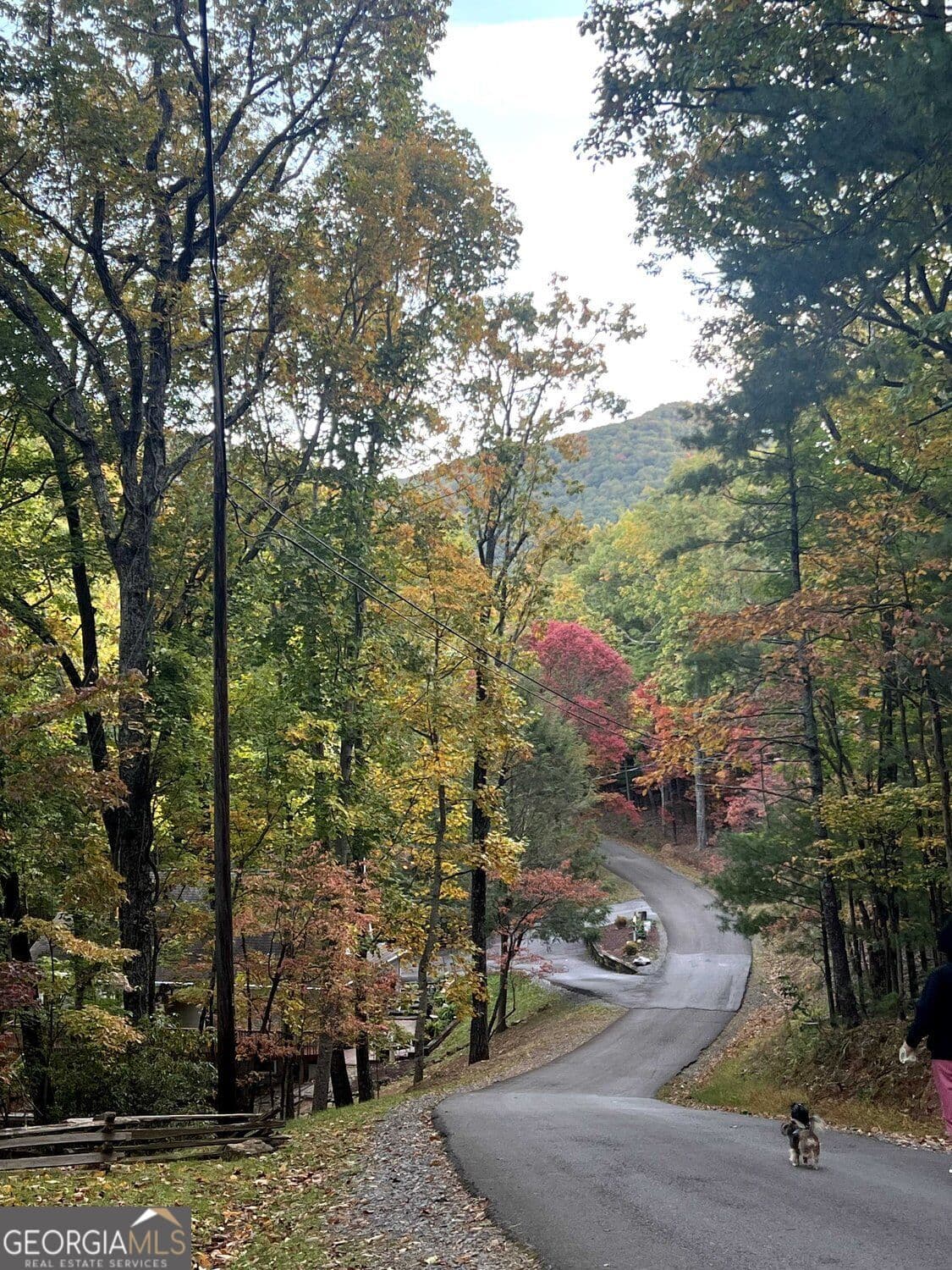 4 bedroom, 5 bathroom, 3,138 sq ft single family residence for sale at 555 Laurel Ridge Drive, Ellijay, GA 30536 — photo 7