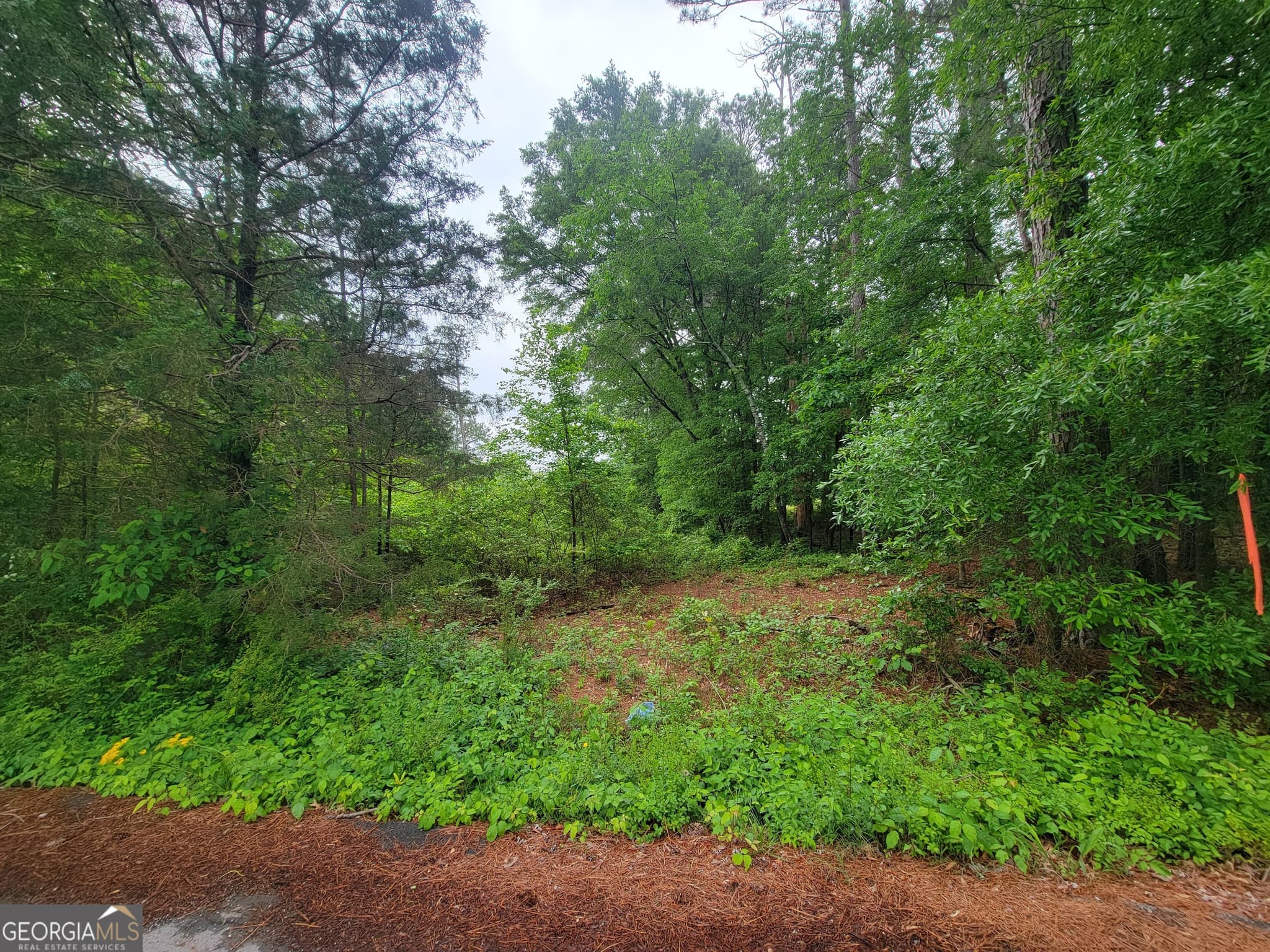 unimproved land for sale at 0 Lake Wanda Rita, Summerville, GA 30747 — photo 4
