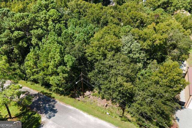 residential lot for sale at LOT 3B Dufour Road, St. Marys, GA 31558 — photo 7