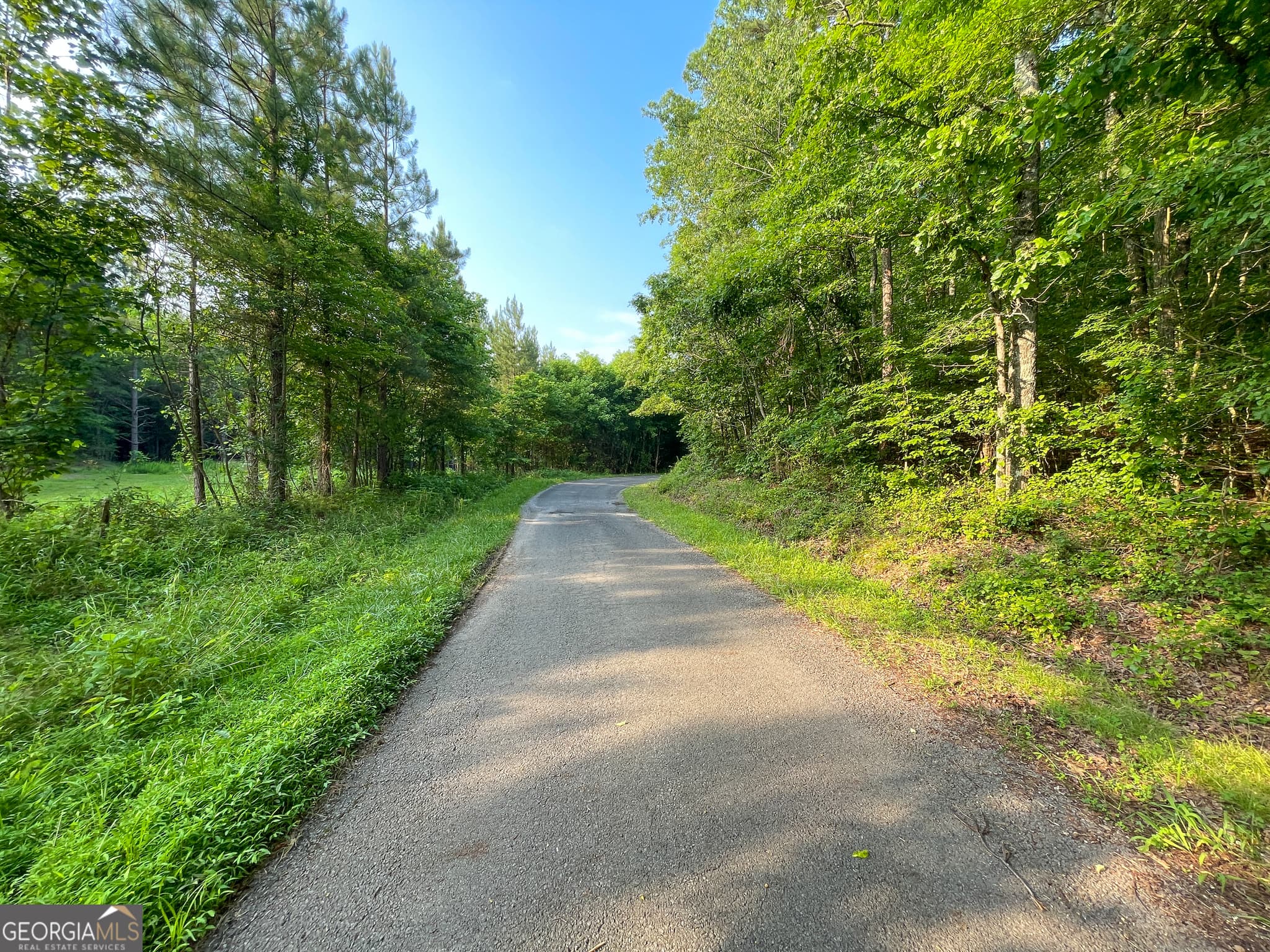 unimproved land for sale at 0 Yarborough Road, Summerville, GA 30747 — photo 7