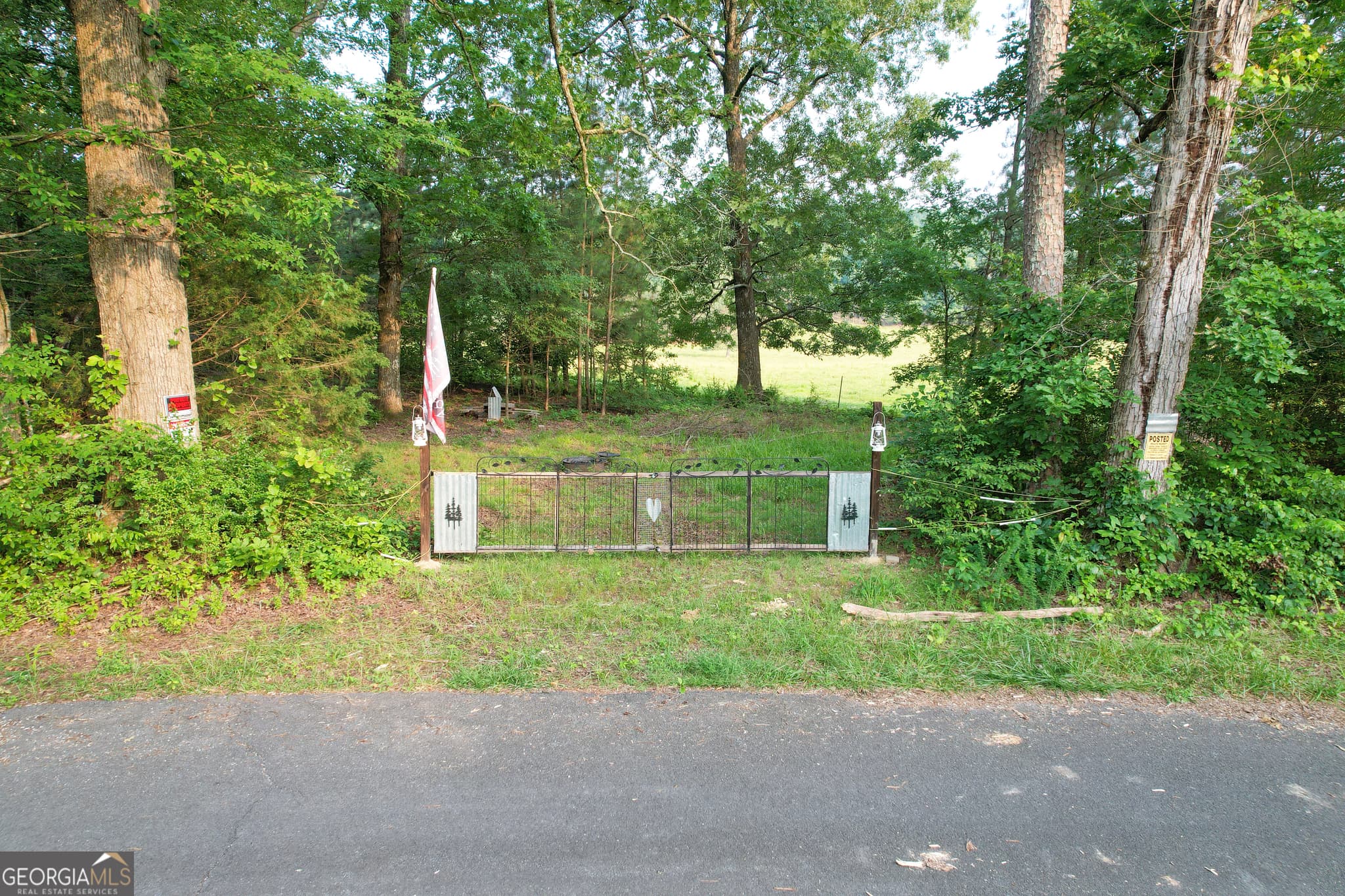 unimproved land for sale at 0 Yarborough Road, Summerville, GA 30747 — photo 3