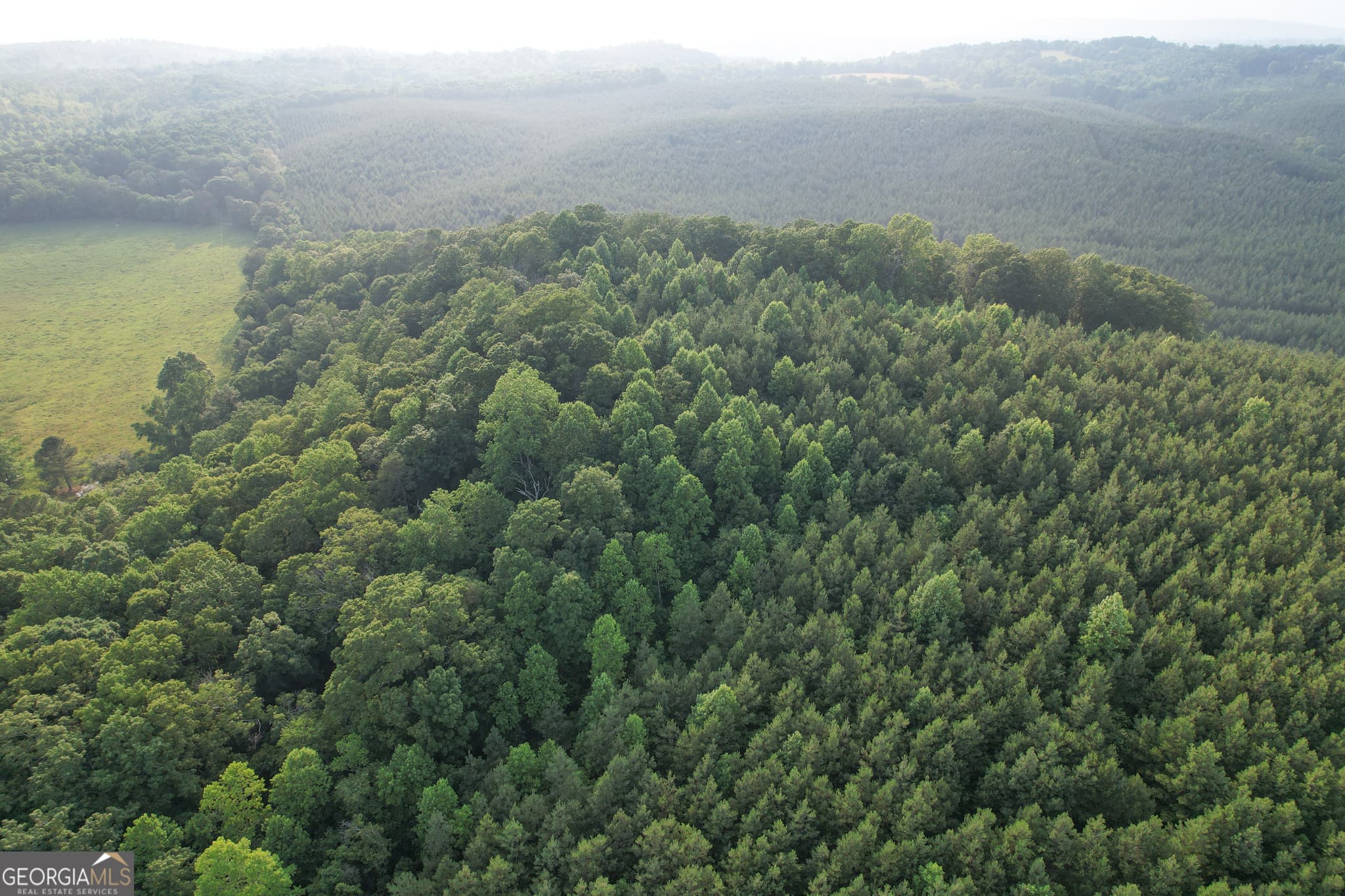 unimproved land for sale at 0 Yarborough Road, Summerville, GA 30747 — photo 5