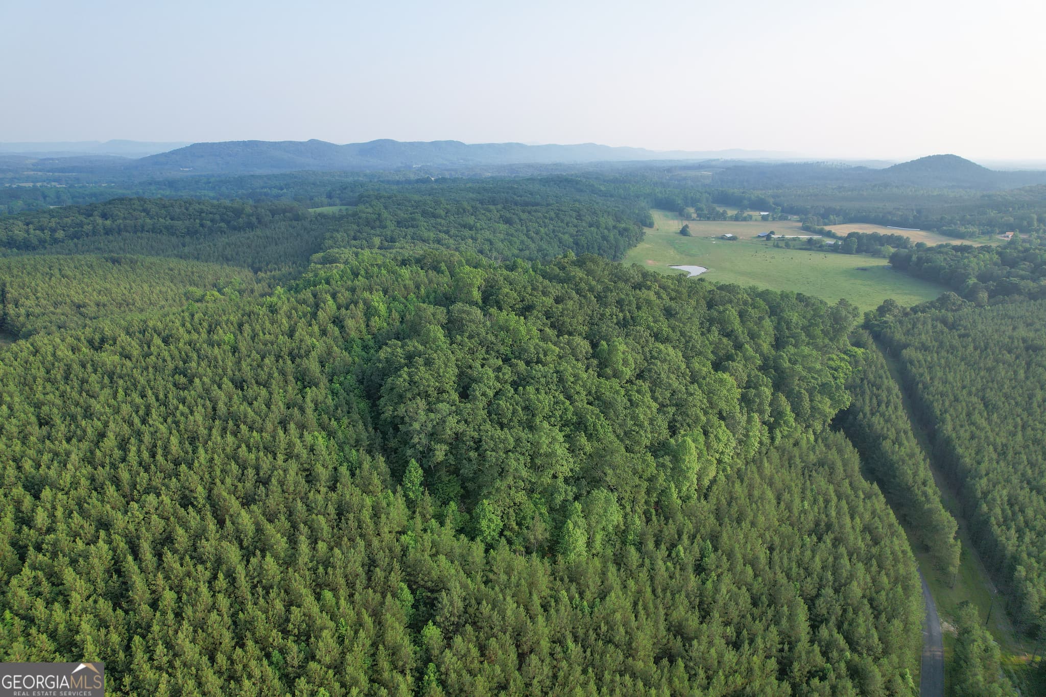 unimproved land for sale at 0 Yarborough Road, Summerville, GA 30747 — photo 9