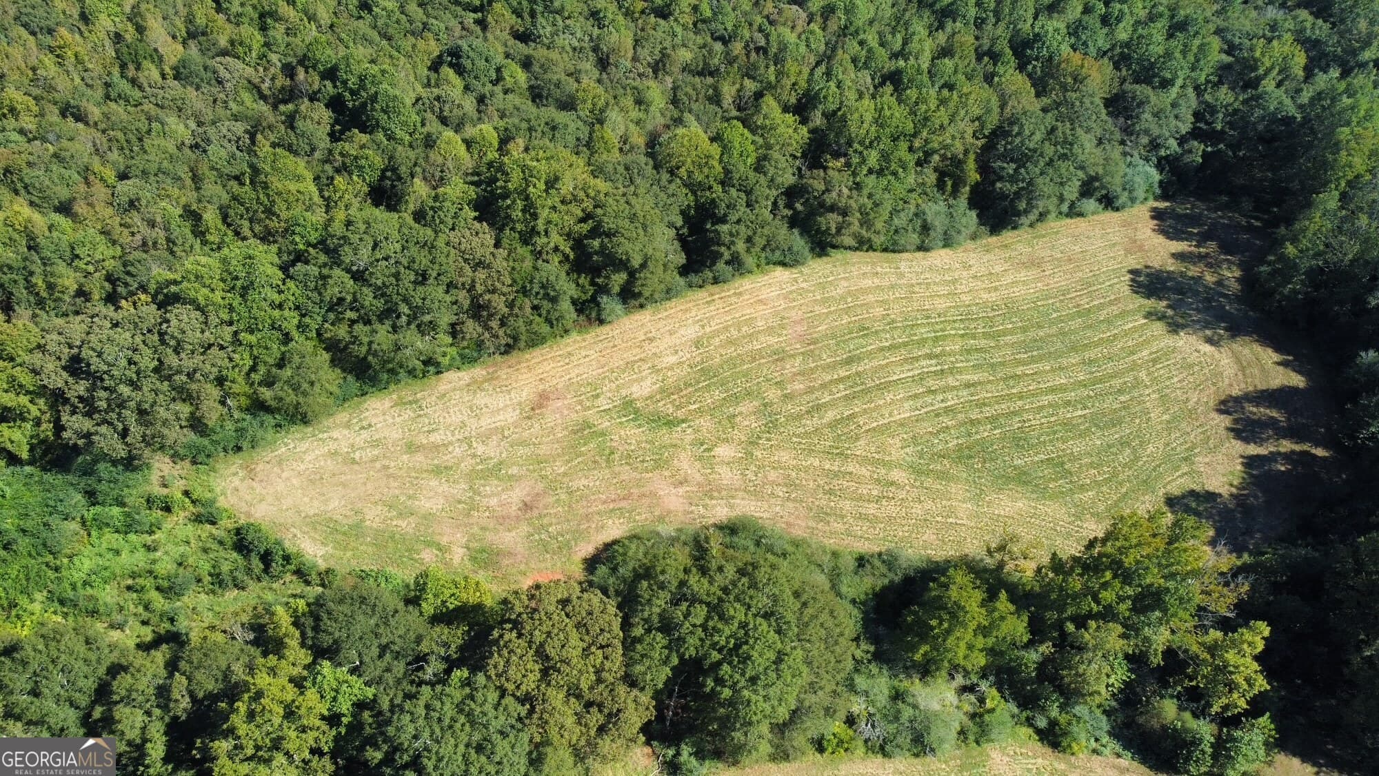 agriculture for sale at 0 Anderson - Thomas Road, Martin, GA 30557 — photo 6