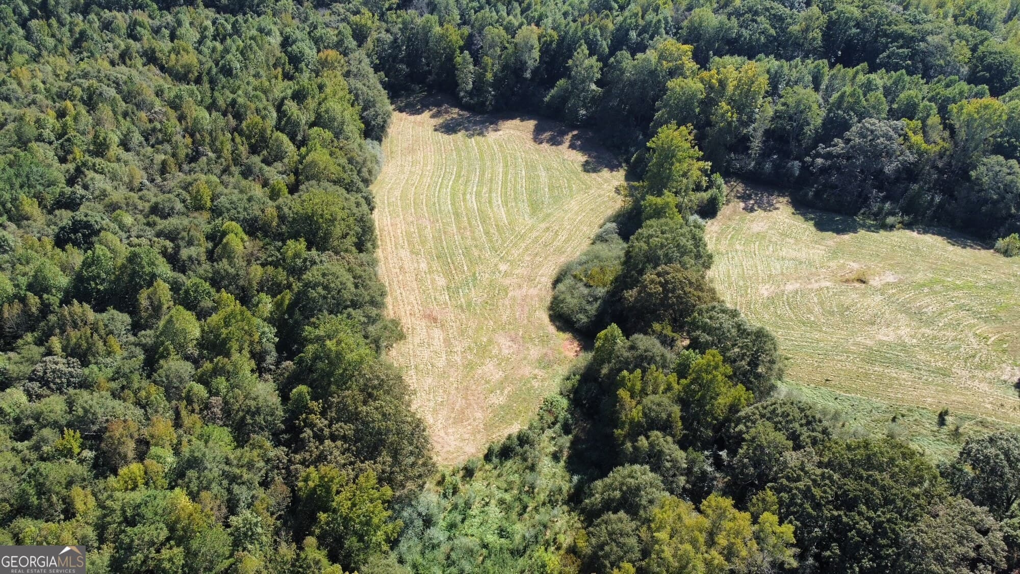agriculture for sale at 0 Anderson - Thomas Road, Martin, GA 30557 — photo 5