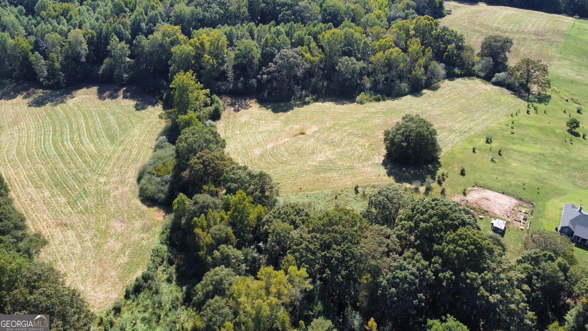 agriculture for sale at 0 Anderson - Thomas Road, Martin, GA 30557 — photo 4