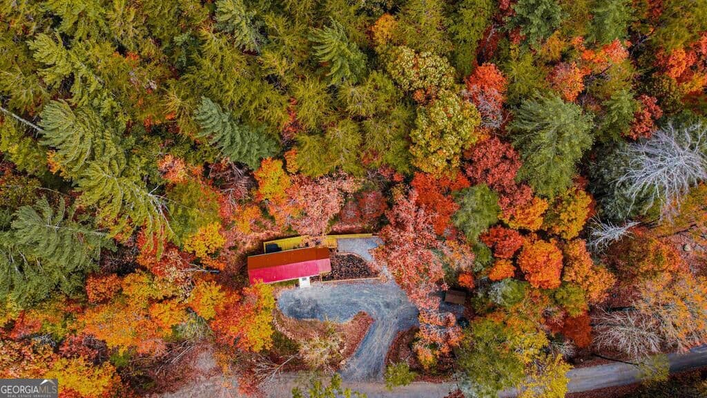 2 bedroom, 2 bathroom, 1,200 sq ft cabin,single family residence for sale at 861 Little Rock Creek Road, Cherry Log, GA 30522 — photo 5