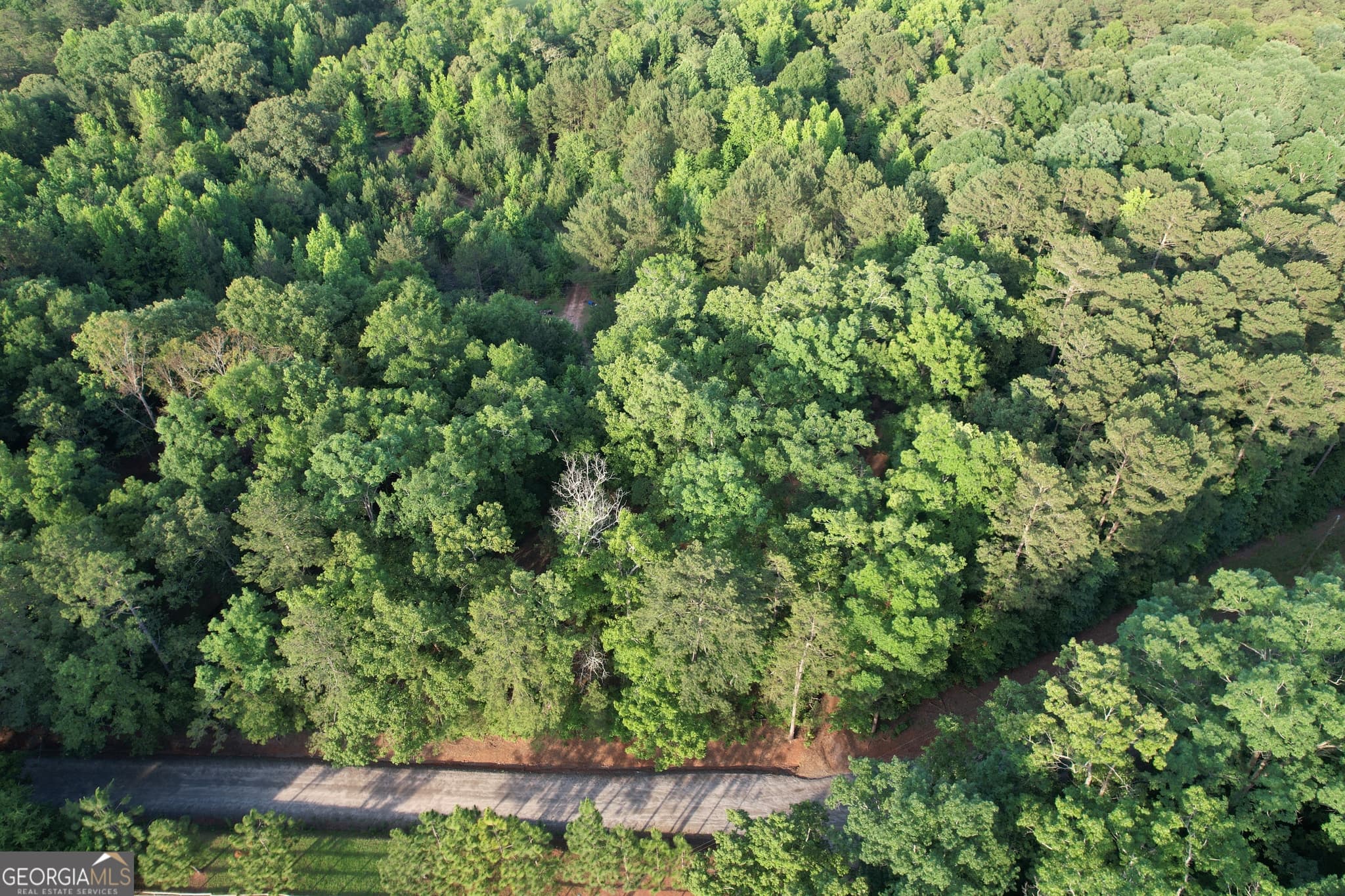 residential lot for sale at 541B Ellis Dairy Road, Griffin, GA 30224 — photo 2