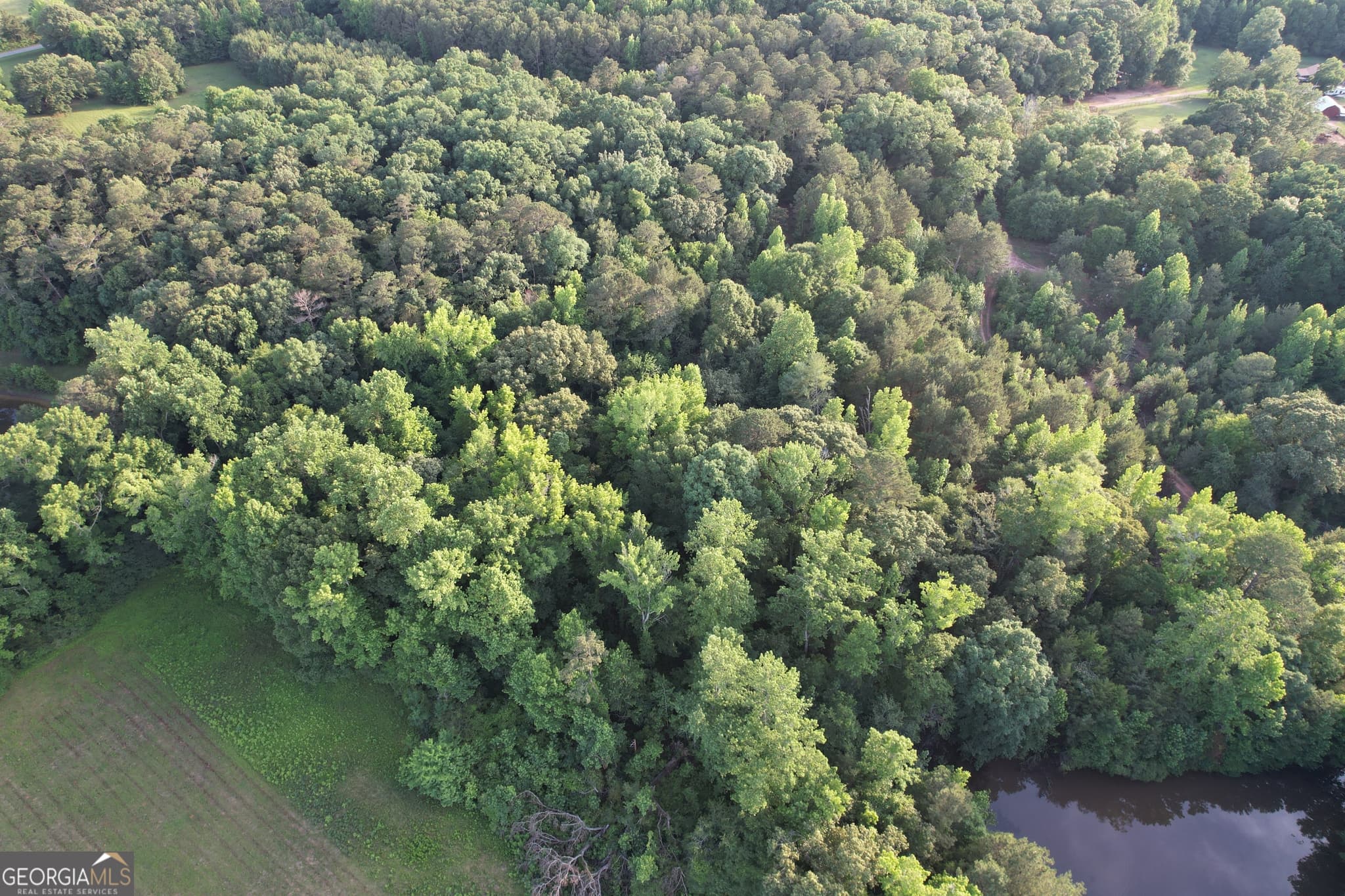 residential lot for sale at 541B Ellis Dairy Road, Griffin, GA 30224 — photo 6