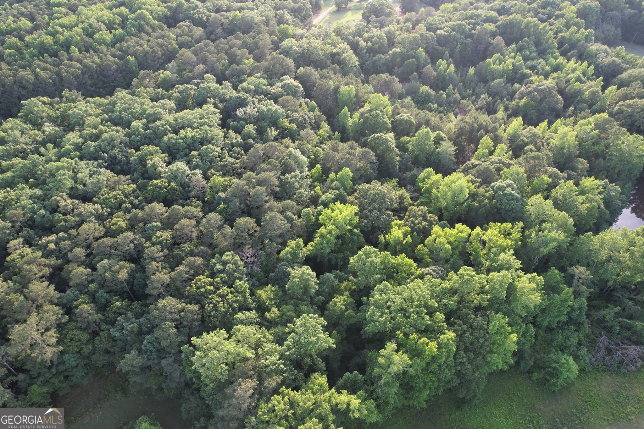 residential lot for sale at 541B Ellis Dairy Road, Griffin, GA 30224 — photo 7