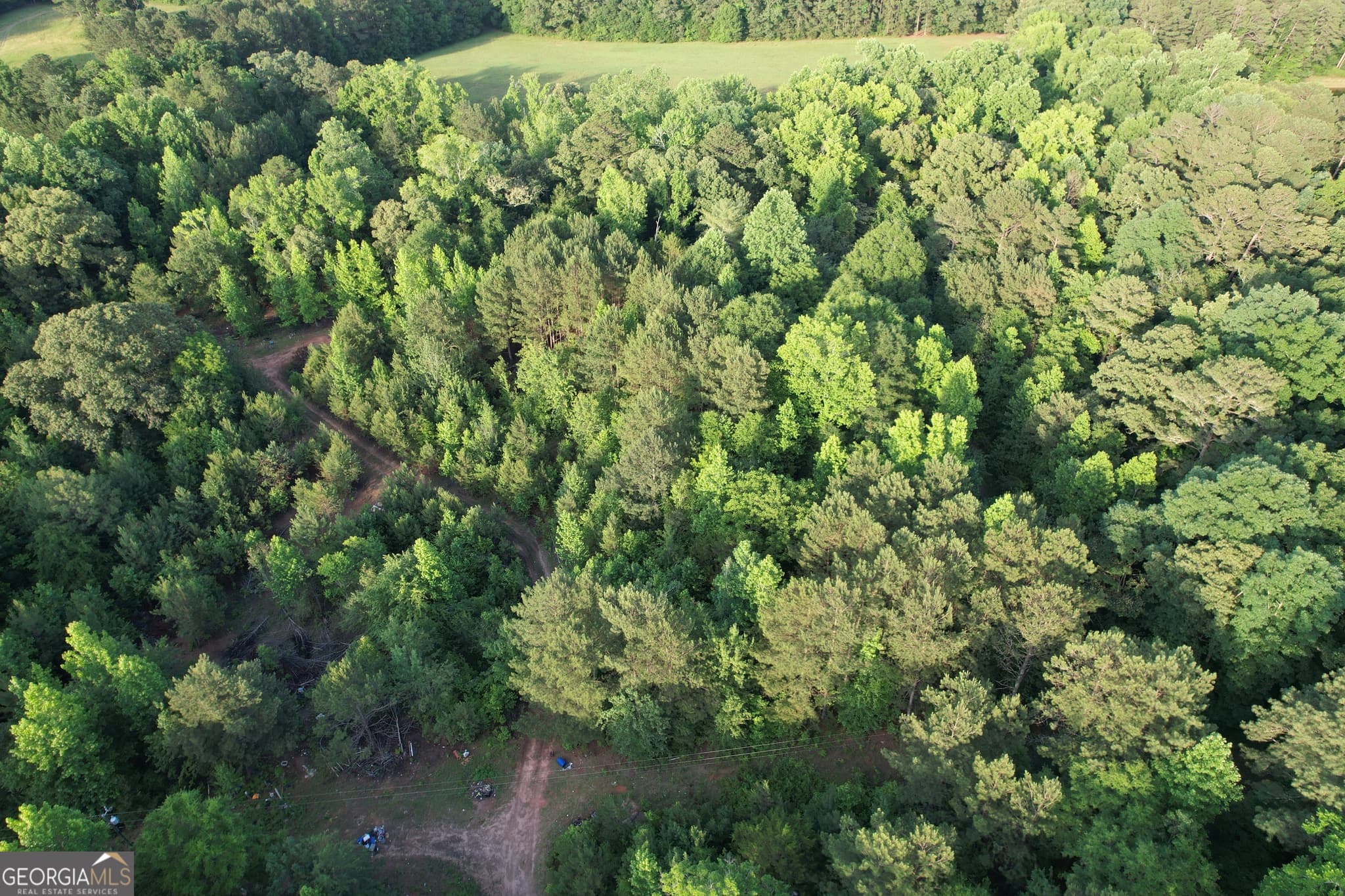 residential lot for sale at 541B Ellis Dairy Road, Griffin, GA 30224 — photo 3