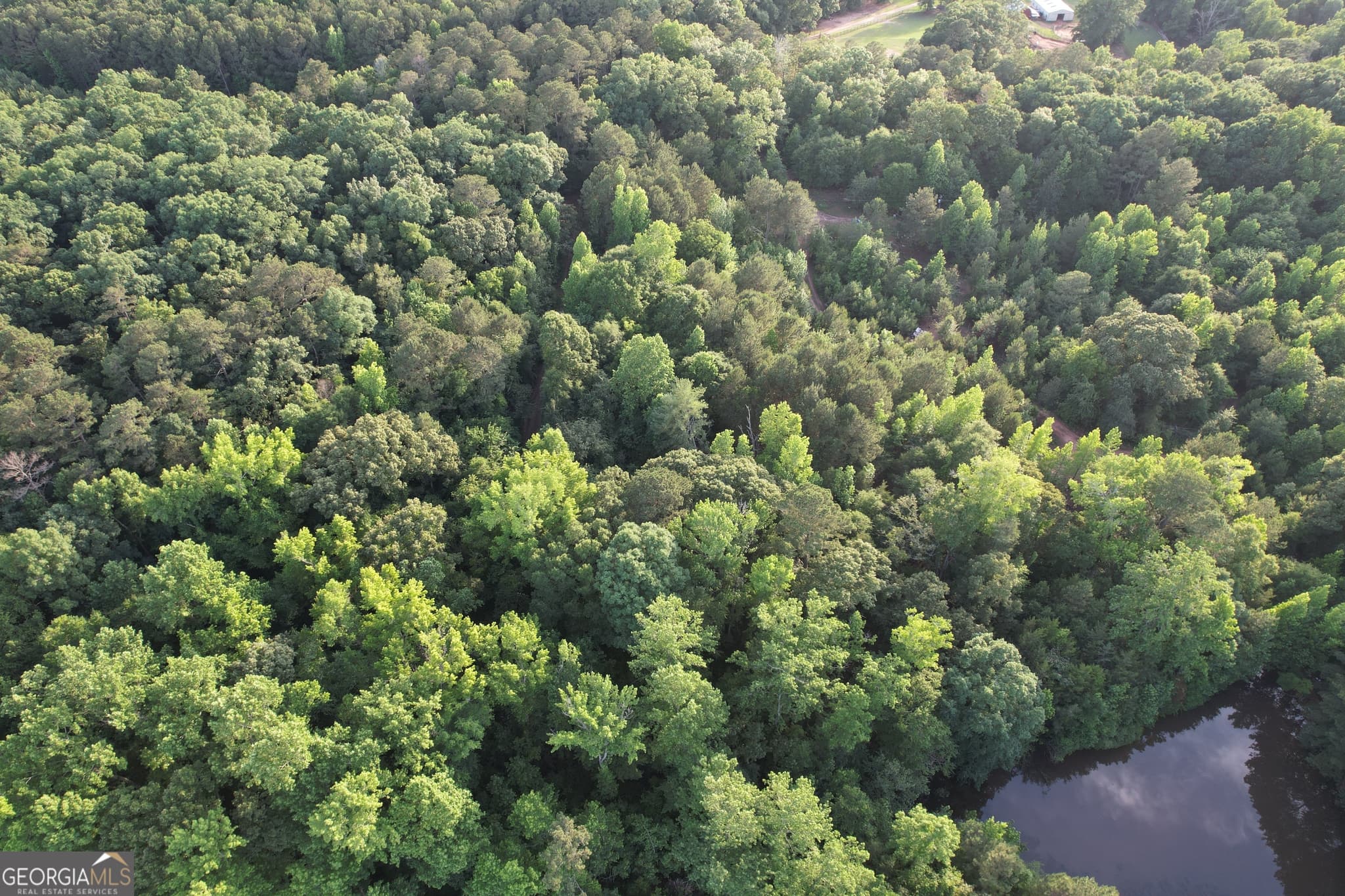 residential lot for sale at 541B Ellis Dairy Road, Griffin, GA 30224 — photo 5