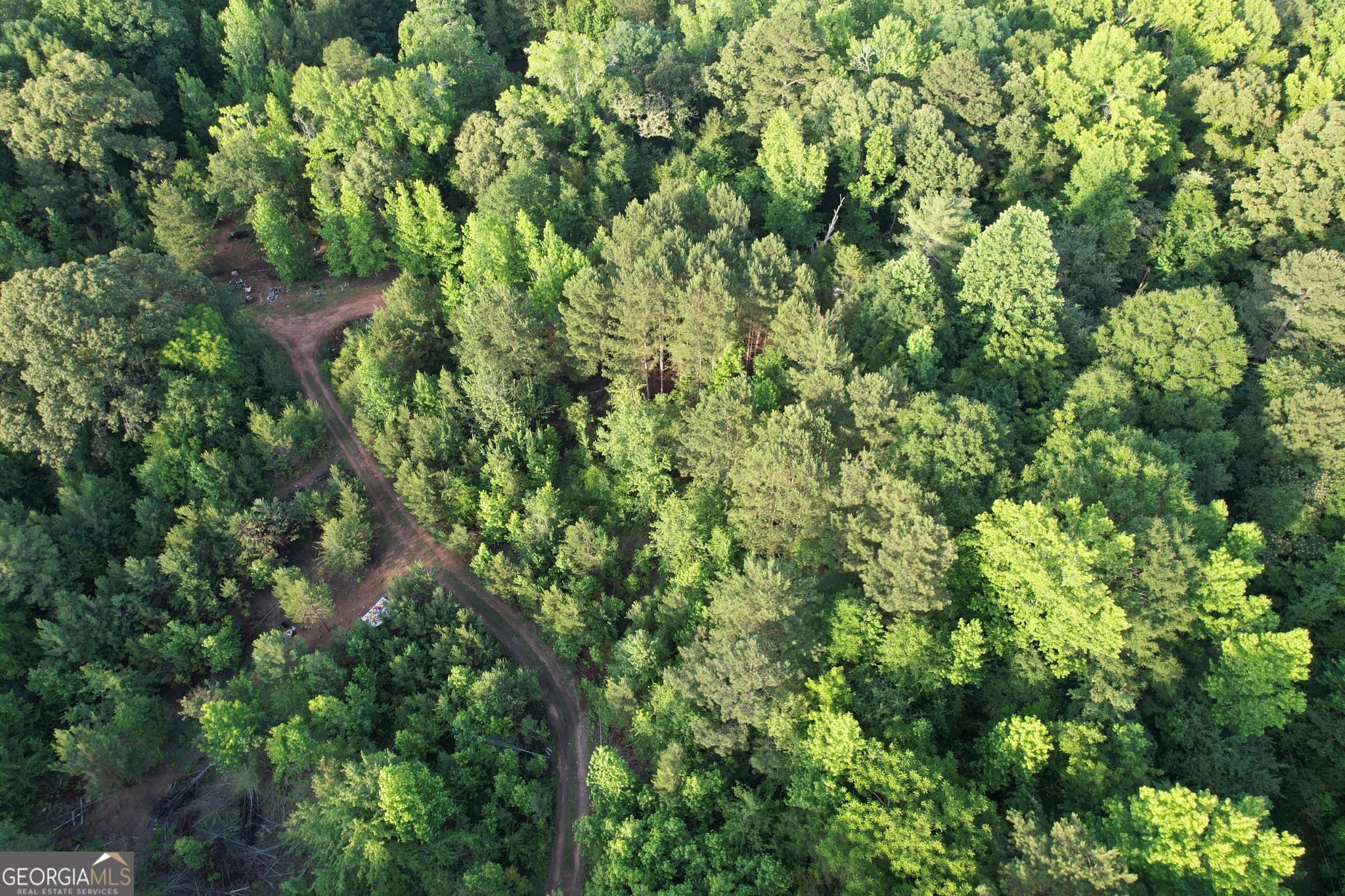 residential lot for sale at 541B Ellis Dairy Road, Griffin, GA 30224 — photo 4