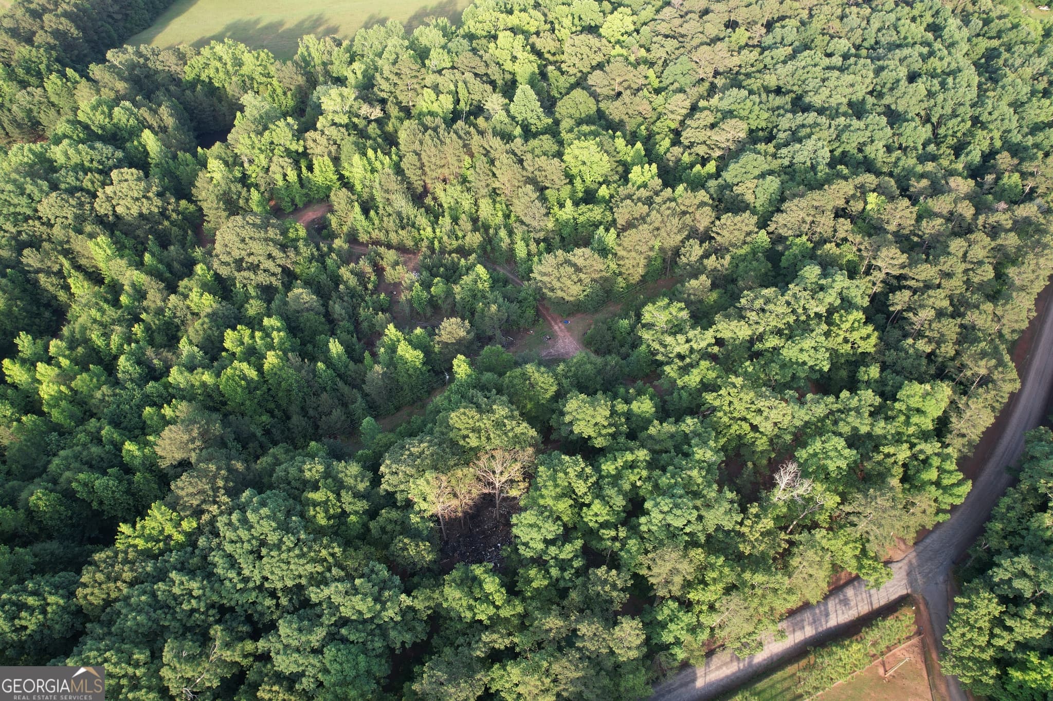 residential lot for sale at 541B Ellis Dairy Road, Griffin, GA 30224 — photo 8