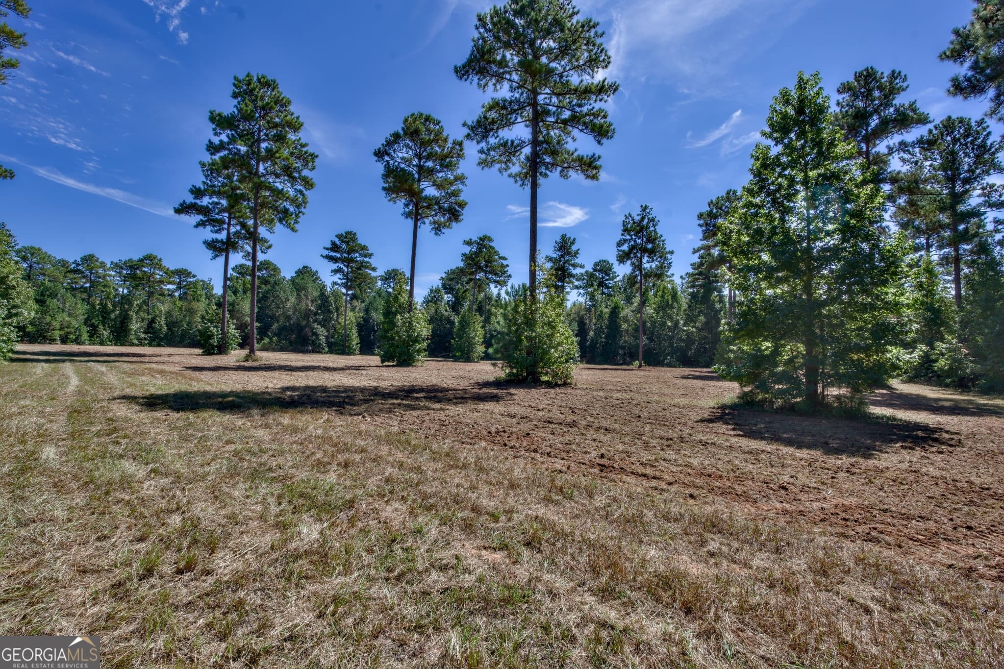 agriculture for sale at 188 Old Copelan Road, Eatonton, GA 31024 — photo 6