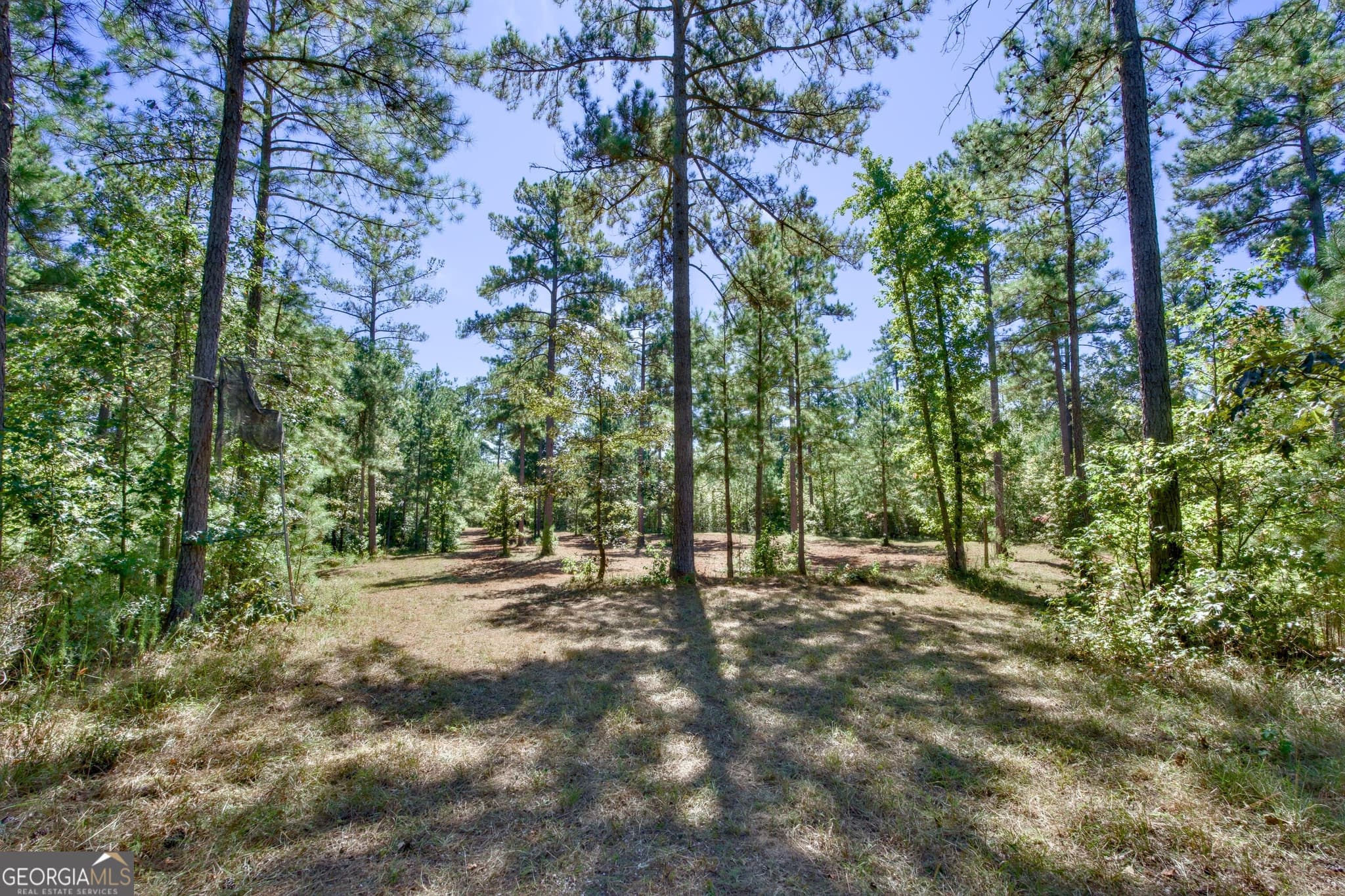 agriculture for sale at 188 Old Copelan Road, Eatonton, GA 31024 — photo 7