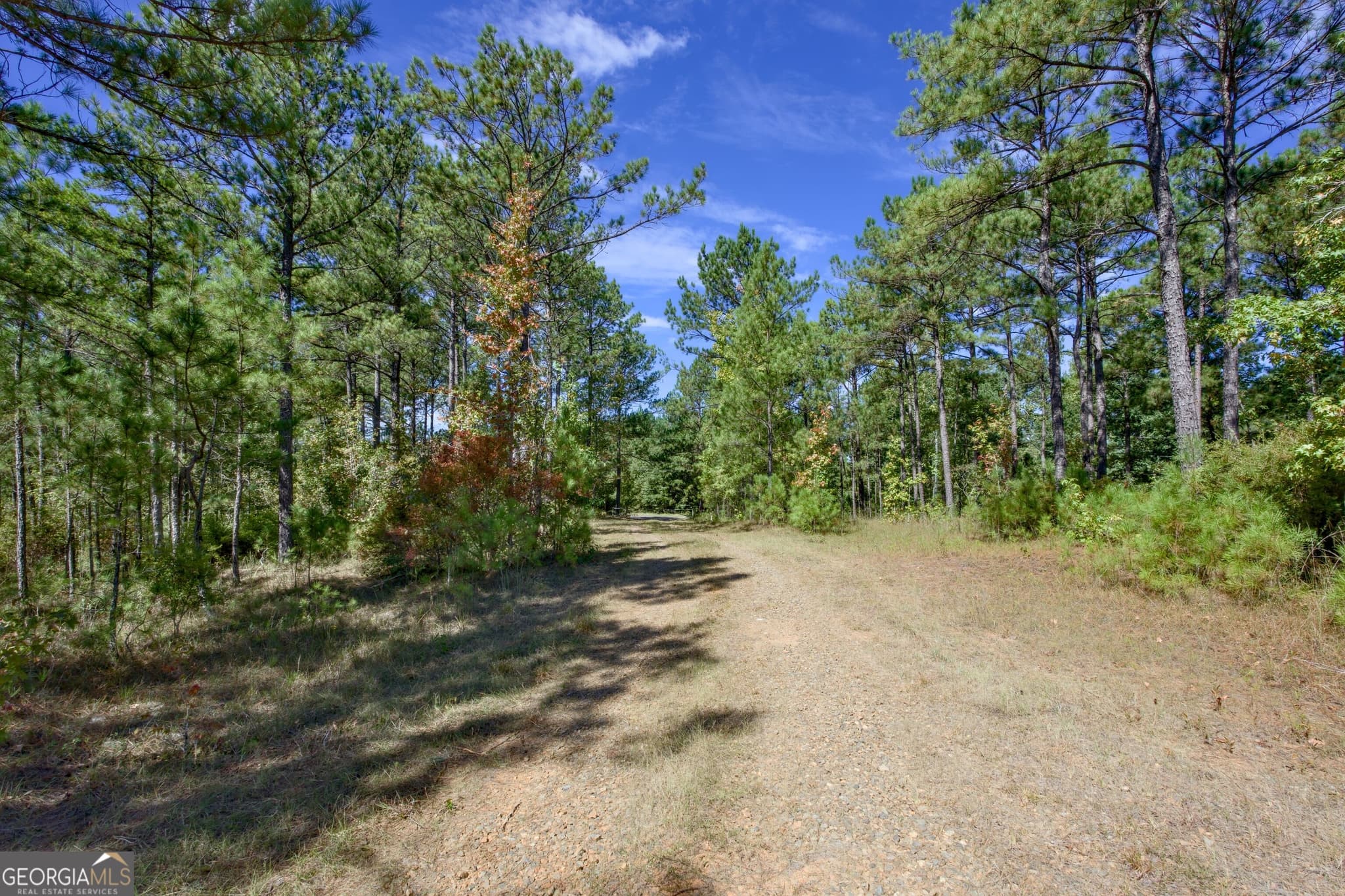 agriculture for sale at 188 Old Copelan Road, Eatonton, GA 31024 — photo 8