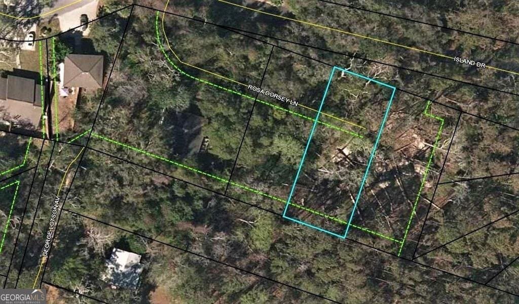residential lot for sale at 108 Rosa Dorsey Lane, St. Simons, GA 31522 — photo 6