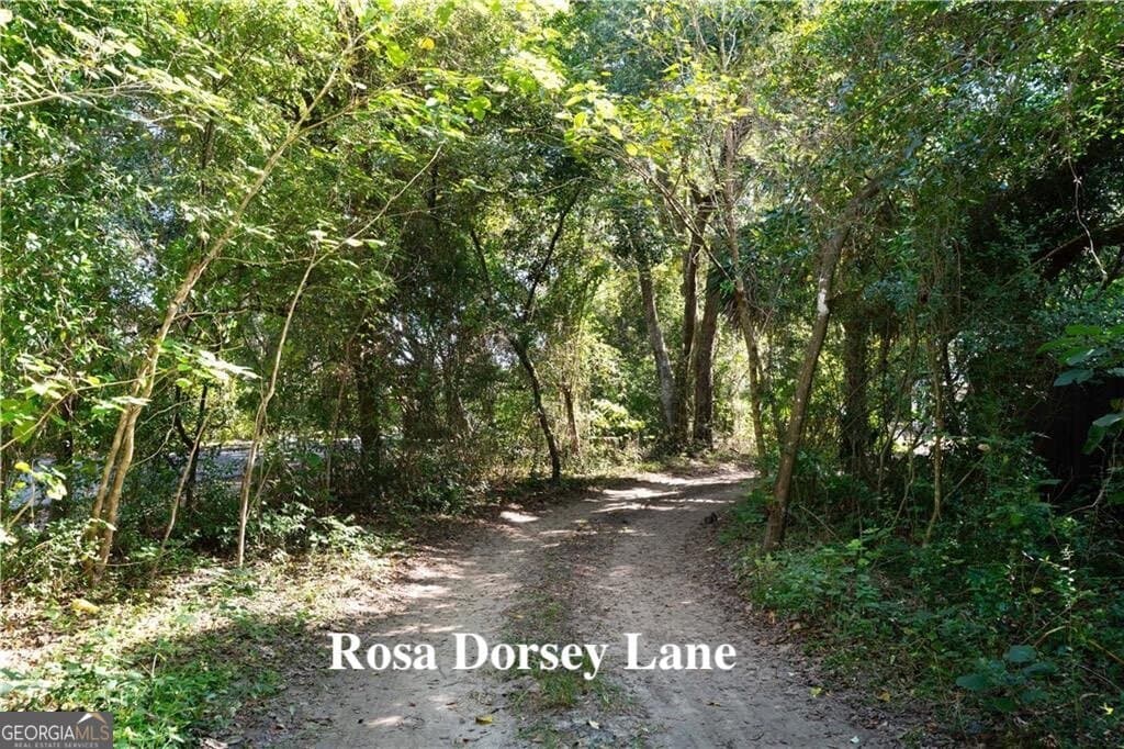 residential lot for sale at 108 Rosa Dorsey Lane, St. Simons, GA 31522 — photo 7