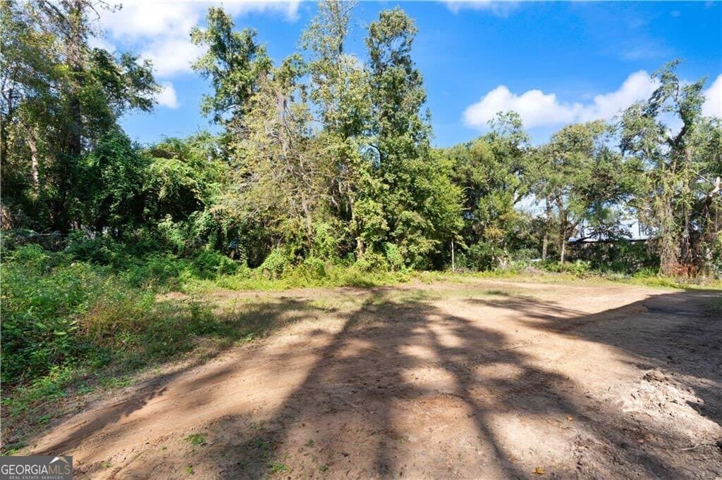 residential lot for sale at 108 Rosa Dorsey Lane, St. Simons, GA 31522 — photo 5