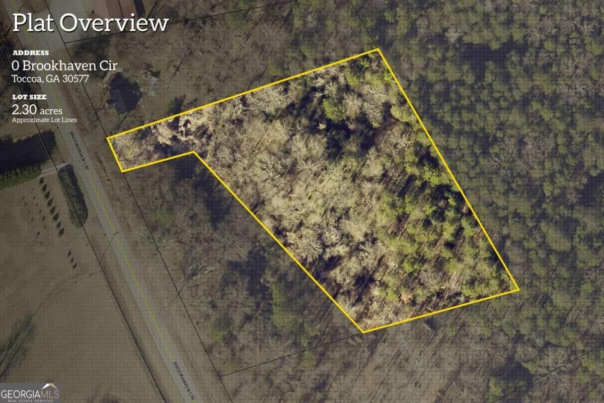 unimproved land for sale at 0 Brookhaven Circle, Toccoa, GA 30577 — photo 2