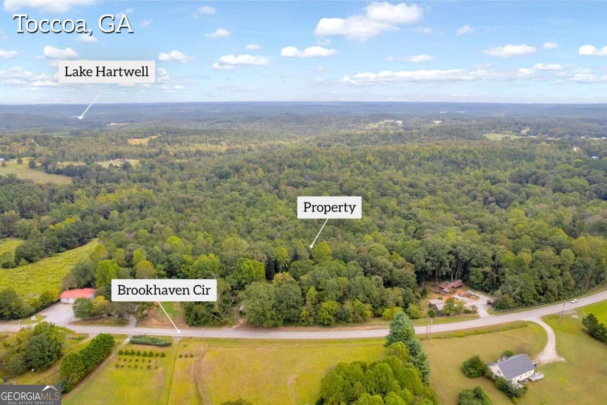 unimproved land for sale at 0 Brookhaven Circle, Toccoa, GA 30577 — photo 3
